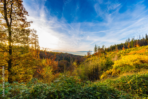 Autumnal landscape of colorful trees in Hoegne Valley, Belgian Ardennes