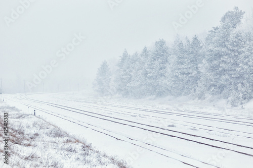 Winter, winter forest, snow, blizzard, winter day,trees in the snow , railroad tracks in the snow