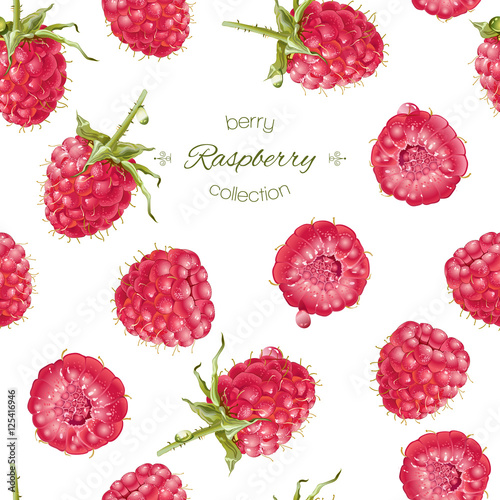 Vector raspberry pattern