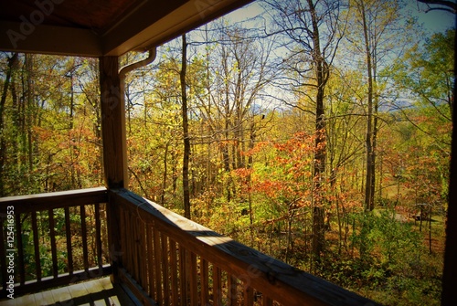 Autumn Colors, Virginia, USA