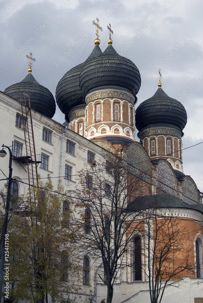 Obraz premium Izmailovo manor in Moscow.