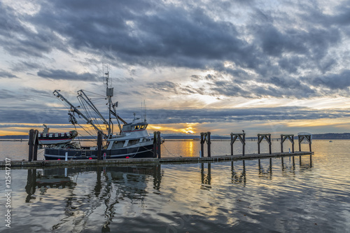 Cape Purse Seiner