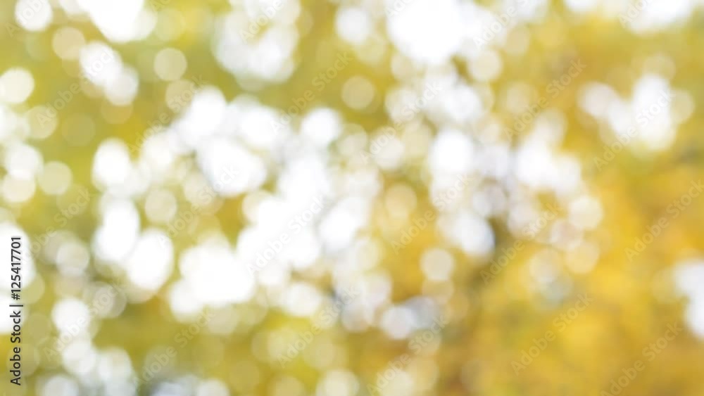 Yellow background with white light bokeh circles Yellow background with white light bokeh circles