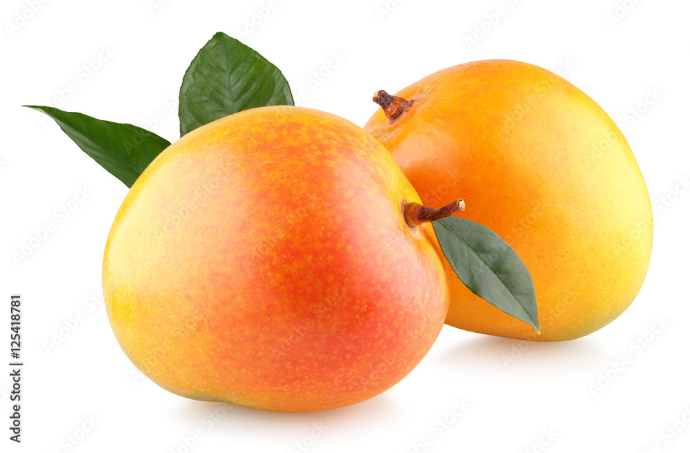 Mango Mango