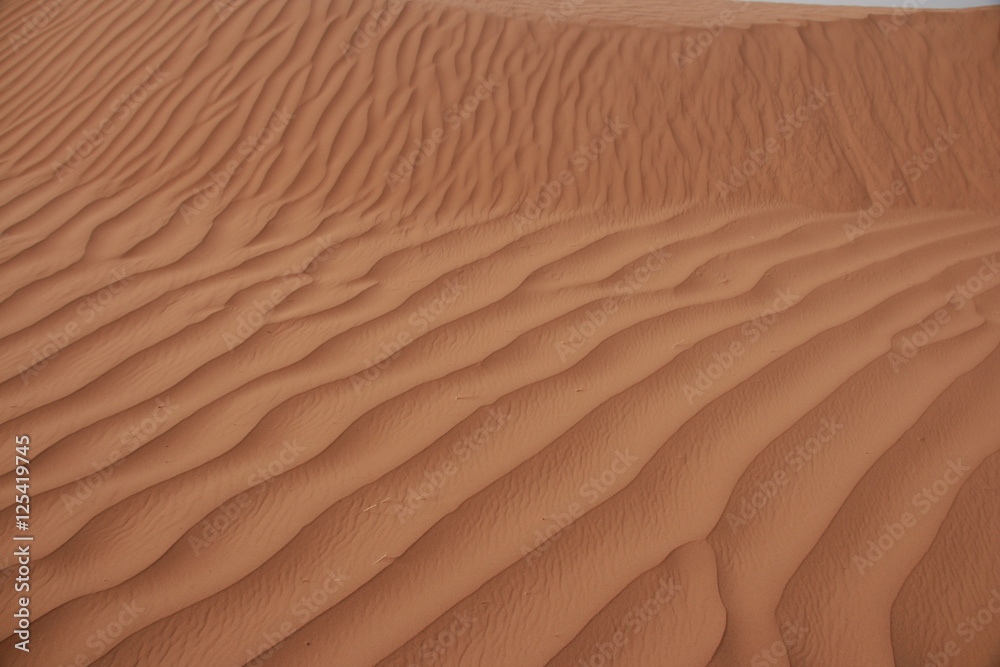 Sandstrukturen Sandstrukturen