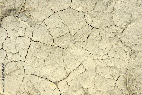 Dry brown cracked earth texture