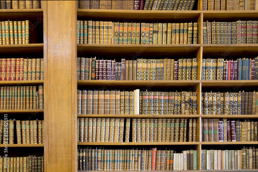 Obraz premium Book shelves in an old library