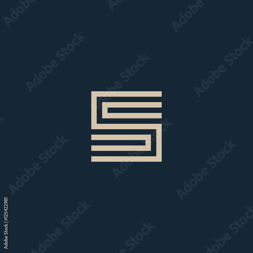 Unusual geometric letter S. Architecture vector logo. Isolated monogram.