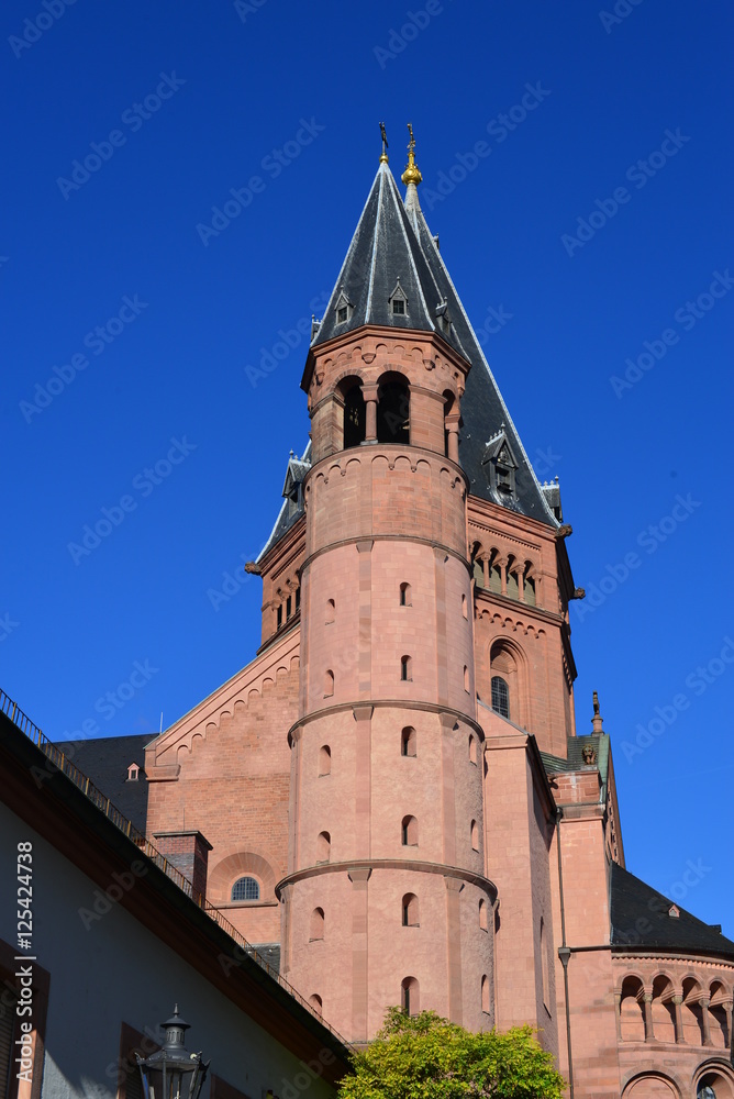 Fototapeta premium Mainzer Dom