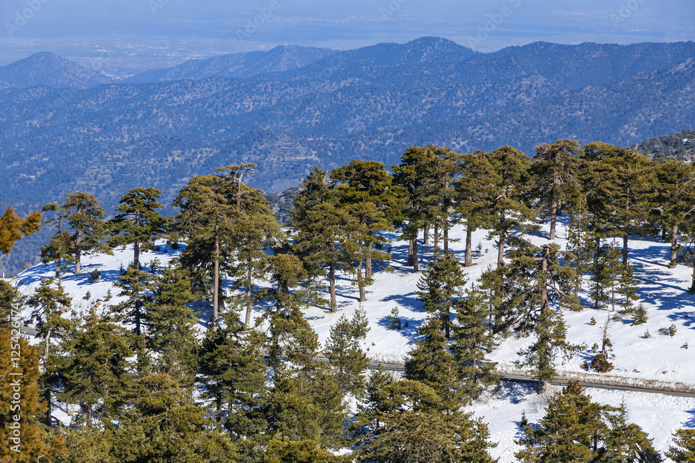 Winter landscape in Troodos Mountains, Cyprus