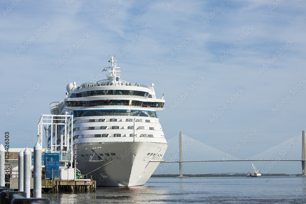 Fototapeta premium Cruise ship in port in Charleston, South Carolina