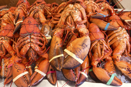 Fényképezés Freshly cooked lobsters on sale in a seafood shop in Alma, New Brunswick, Canada