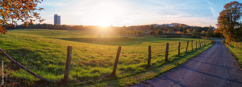 Fototapeta premium Wiese in Aachen