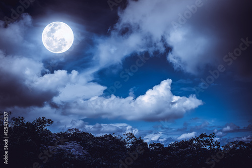 Silhouettes of tree and nighttime sky with clouds, bright full moon