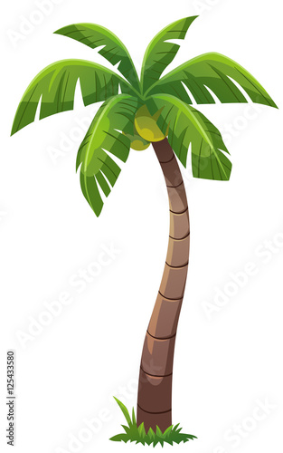 Obraz na płótnie Coconut tree cartoon style w salonie