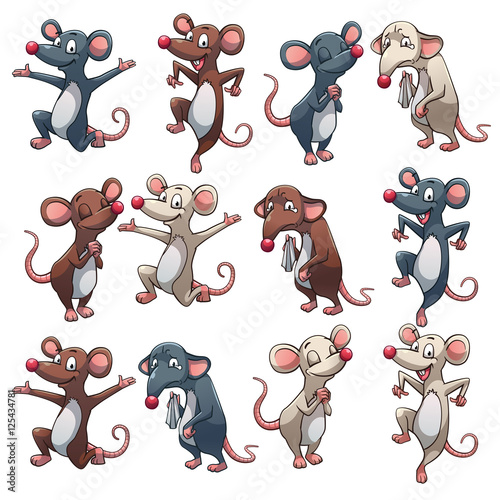Rat in different colors