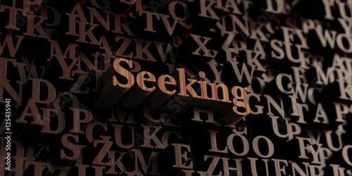 Seeking - Wooden 3D rendered letters/message. Can be used for an online banner ad or a print postcard.