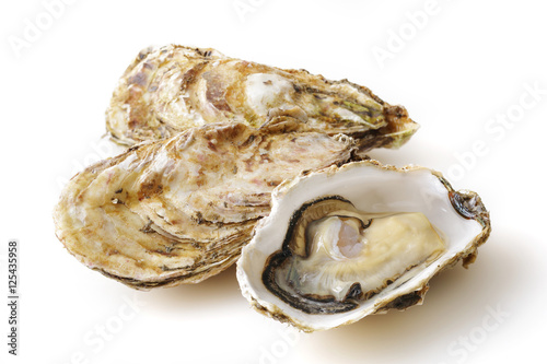 生牡蠣 Oysters