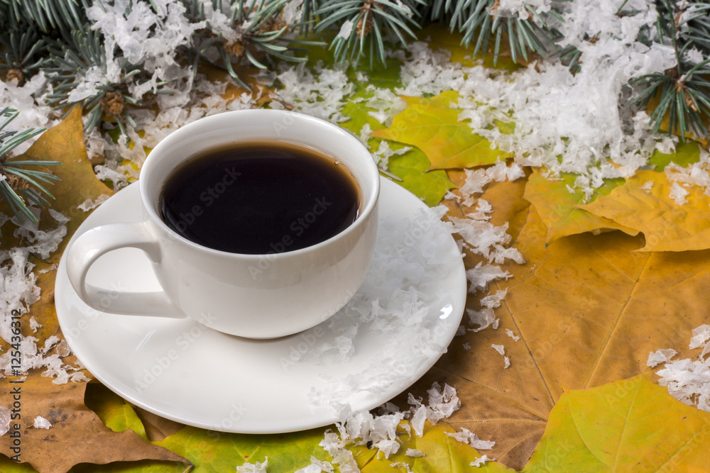 a hot drink in autumn, branches of spruce
