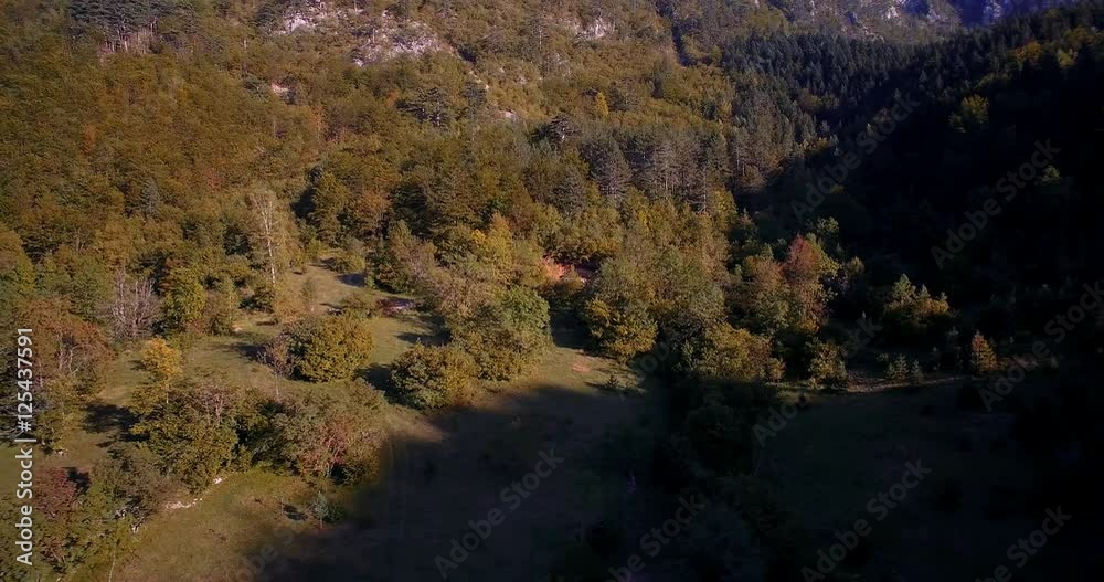 Aerial, Mountainous Forest, Autumn, Montenegro - Graded and stabilized version..Watch also for the native material, straight out of the camera. Aerial, Mountainous Forest, Autumn, Montenegro - Graded and stabilized version..Watch also for the native material, straight out of the camera.