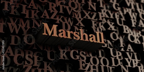 Marshall - Wooden 3D rendered letters/message. Can be used for an online banner ad or a print postcard.