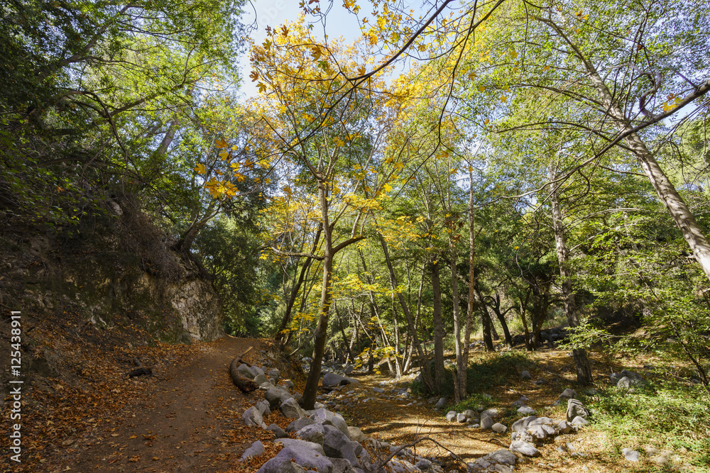 Beautiful fall color of Switzer Falls Trail Beautiful fall color of Switzer Falls Trail