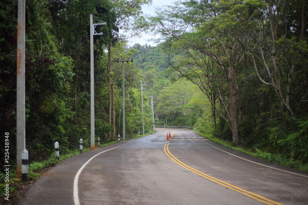Fototapeta premium road and forest in Pang Sida National Park at Thailand