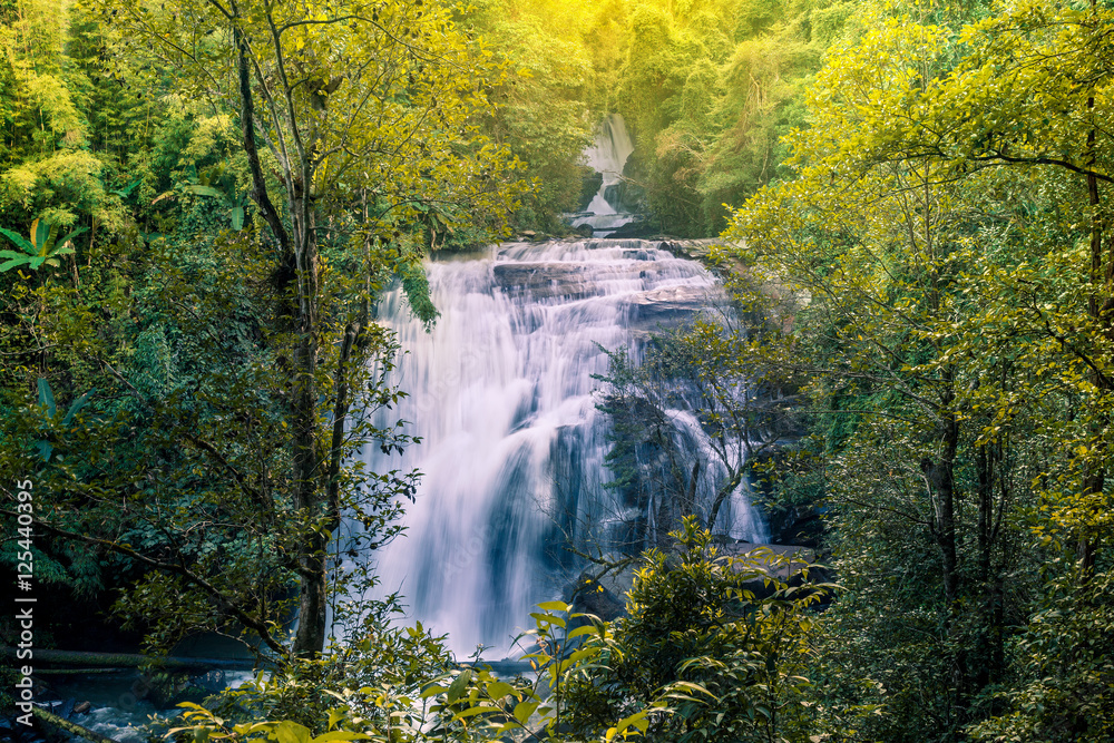 Fototapeta premium Waterfall surrounded by tropical plants in Chiang Mai, Thailand