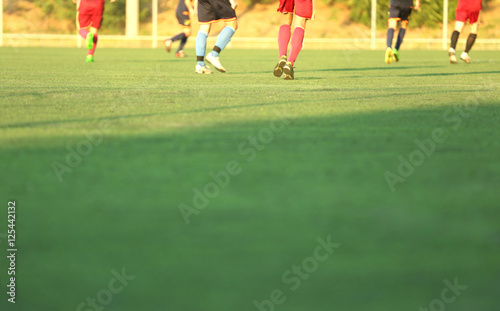 Canvas Print Soccer game players on field