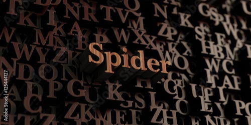 Spider - Wooden 3D rendered letters/message. Can be used for an online banner ad or a print postcard.