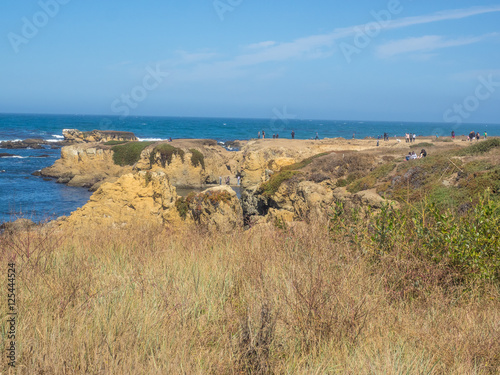 MacKerricher State Park photo