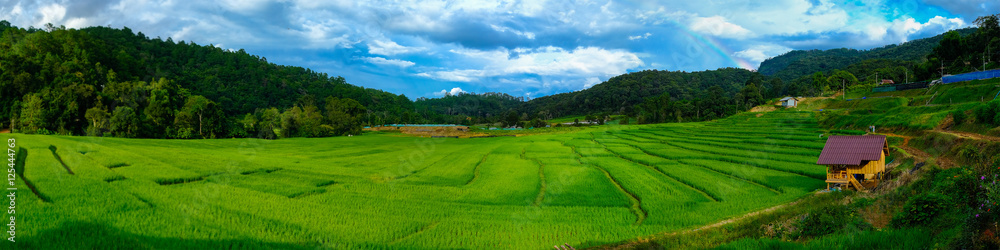 beautiful landscape view of rice terraces in Thailand