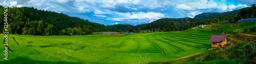 beautiful landscape view of rice terraces in Thailand