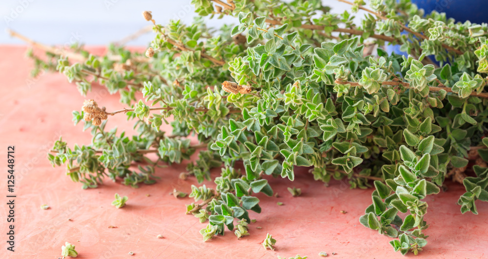 Oregano bunch on red background Stock Photo | Adobe Stock