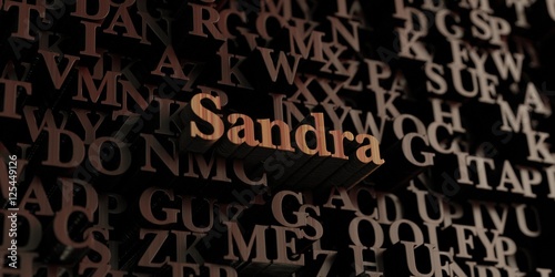 Sandra - Wooden 3D rendered letters/message. Can be used for an online banner ad or a print postcard.