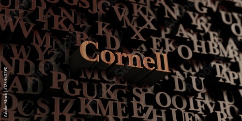 Cornell - Wooden 3D rendered letters/message. Can be used for an online banner ad or a print postcard.