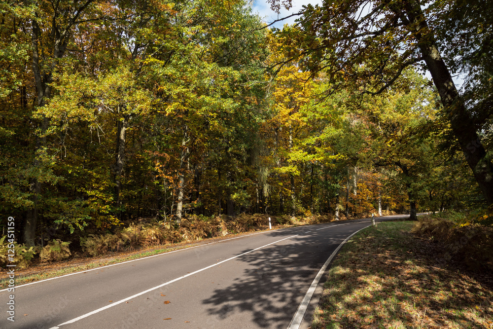 Herbstland- Waldstraße Herbstland- Waldstraße
