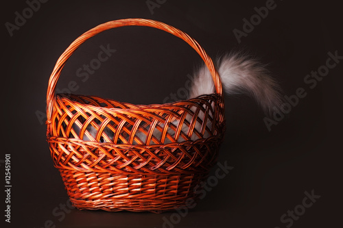 The cat hid in a basket sticking out of one tail.