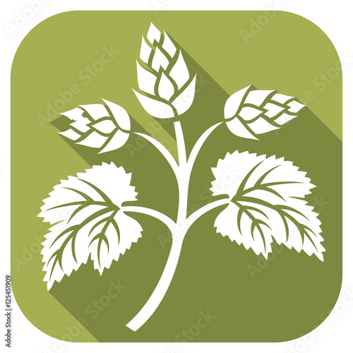 hops leaf flat icon