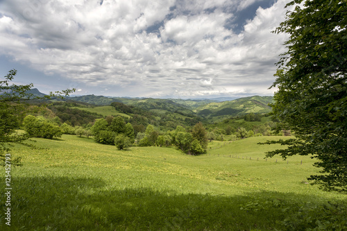 Obraz na płótnie carpatians mountains w salonie