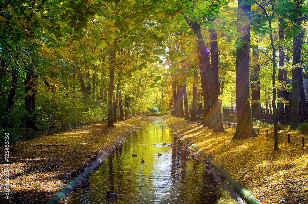 Obraz premium Streaks of sun on a canal in autumn 