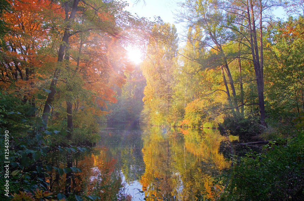 Streaks of sunlight shinning through the trees in an autumn lake