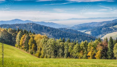 Black Forest Panorama HDR photo