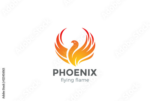 Phoenix Logo flying bird design vector. Eagle falcon icon