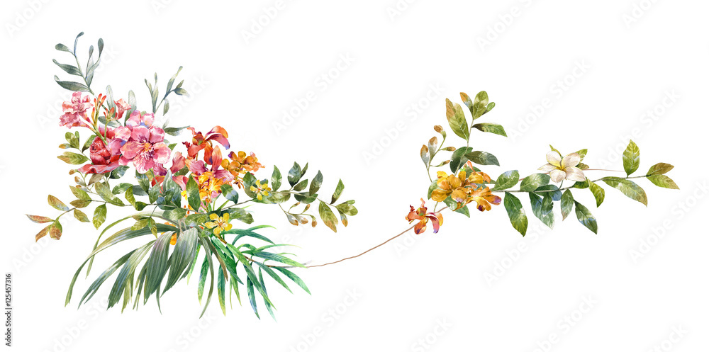 Fototapeta premium watercolor painting of leaves and flower, on white background