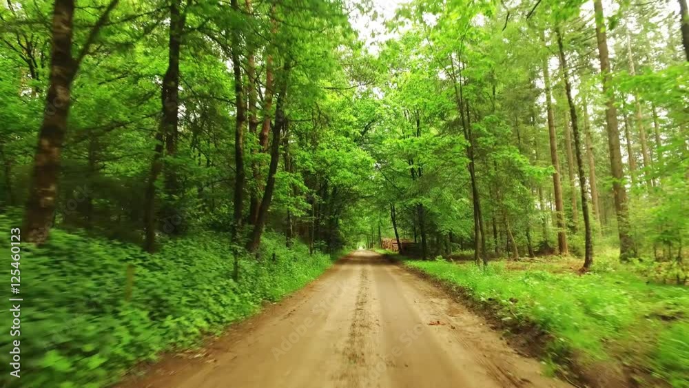 Biking in a beautiful country road in the forest Biking in a beautiful country road in the forest