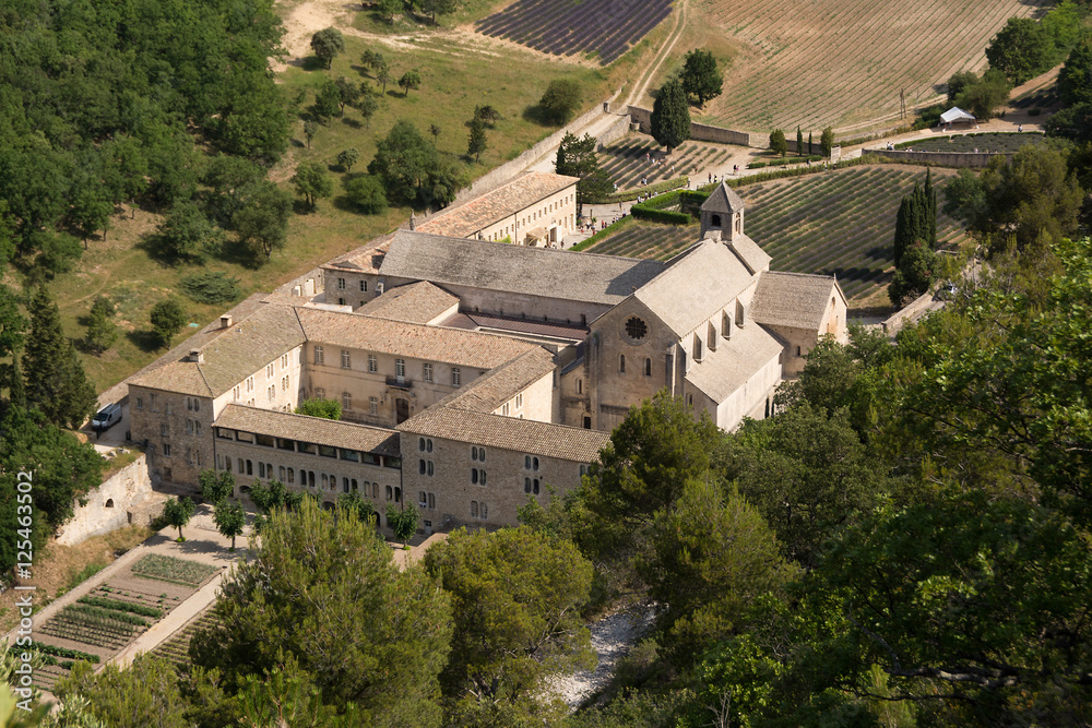 View from above on the monastery Abbaye Notre-Dame de Senanque ( Abbey of Senanque) Provence, France