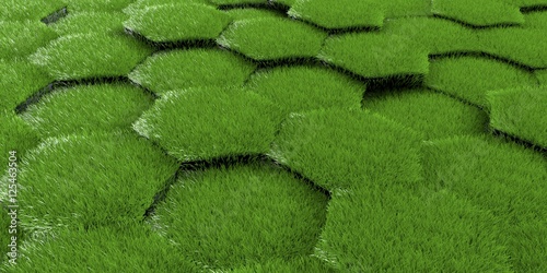 Digital hexagons background grass