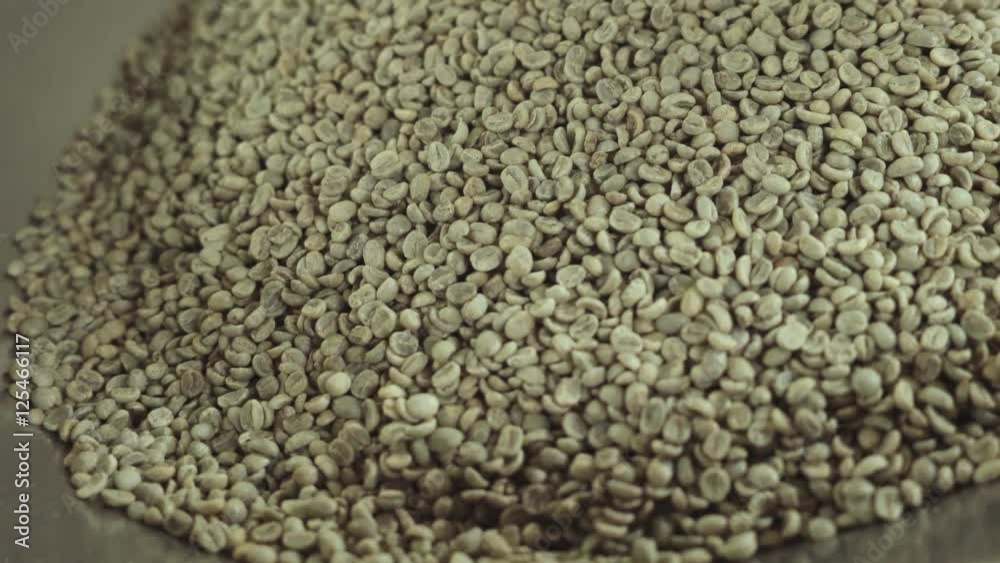 Freshly roasted coffee beans pouring in a large white bowl. No people around. Inside shooting. Coffee industry. Freshly roasted coffee beans pouring in a large white bowl. No people around. Inside shooting. Coffee industry.