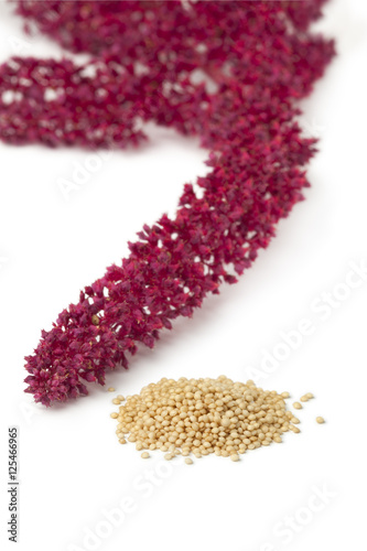Obraz na płótnie Amaranth flowers and seeds
